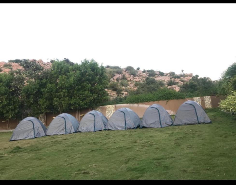 For those who gel with the outdoors, tents are just the right proposition, in a serene environment that takes you to a different world altogether.